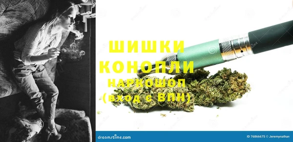 прущие крисы Медвежьегорск
