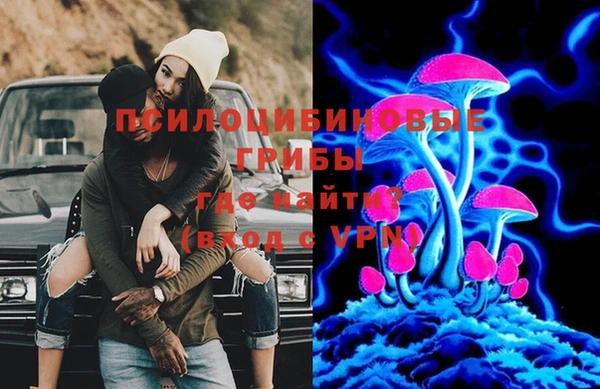 гидра Медногорск